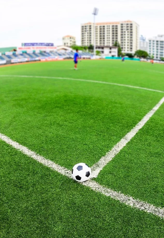relva futebol