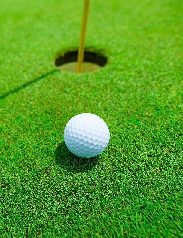relva golfe